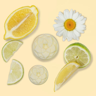 Fragrance Therapy